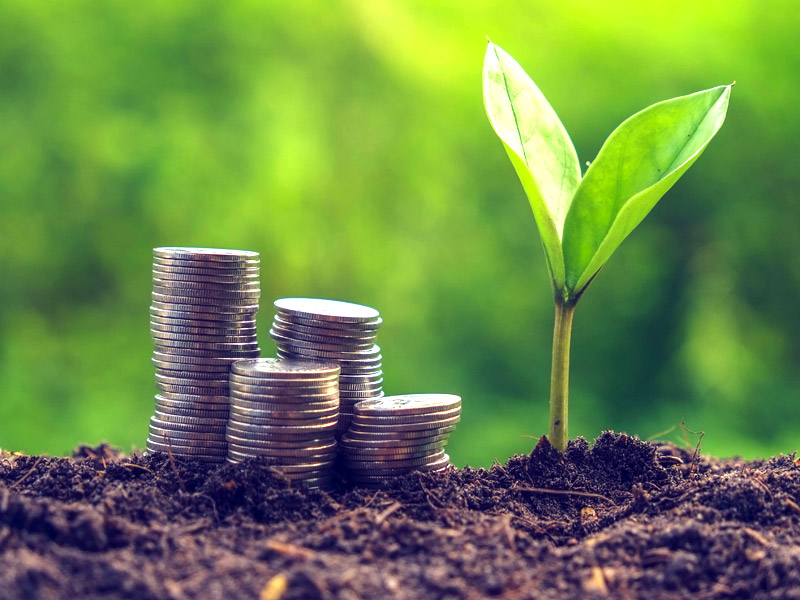  Subvention klimapositive Gestaltungsmaßnahmen