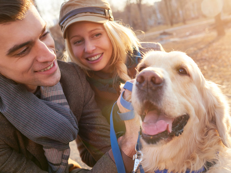 Hundeanmeldung/Hundeabmeldung