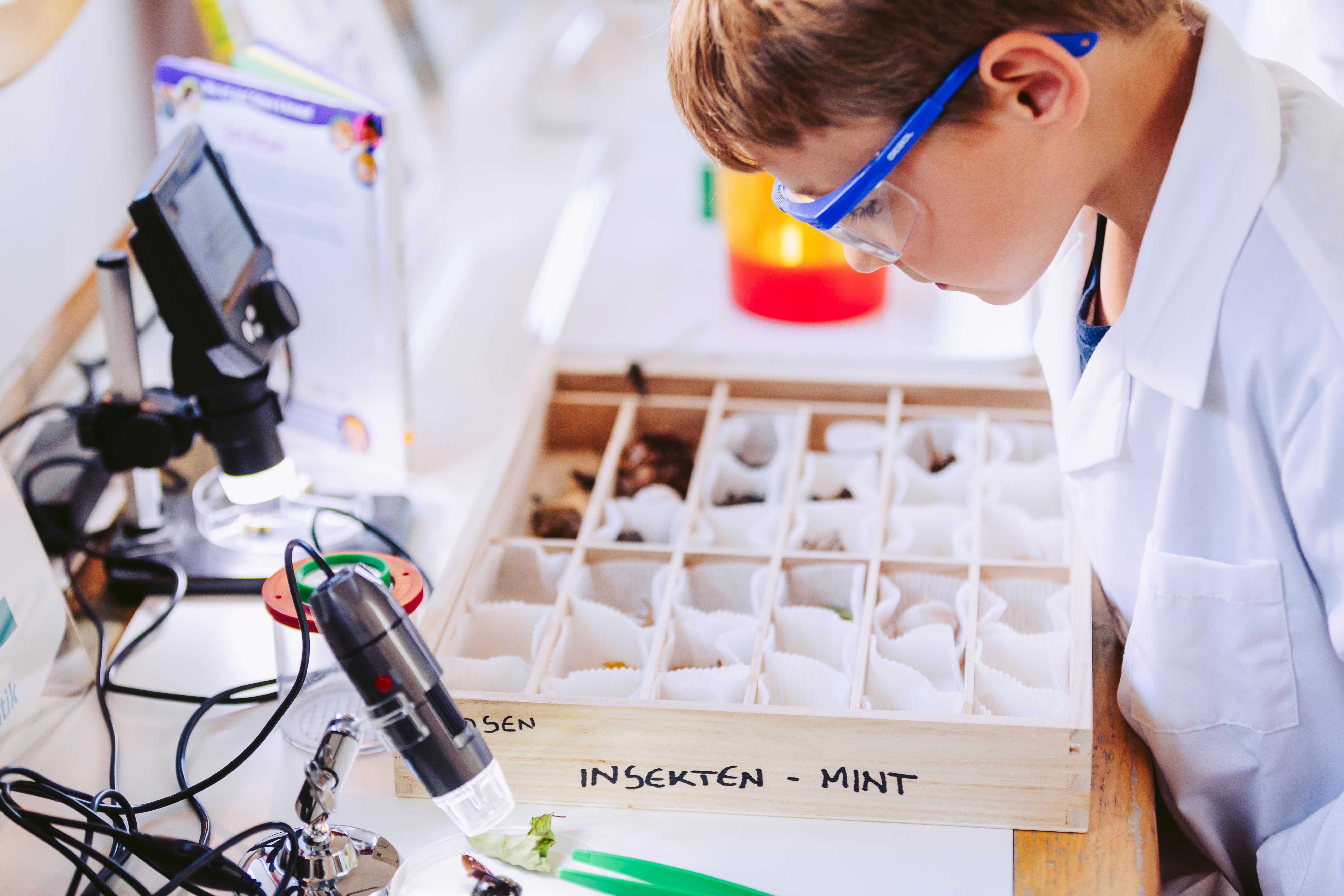 Kleine Forscher:innen ganz groß