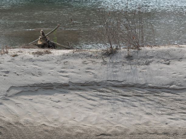 Tagliamento-zugeschnitten-quer.JPG