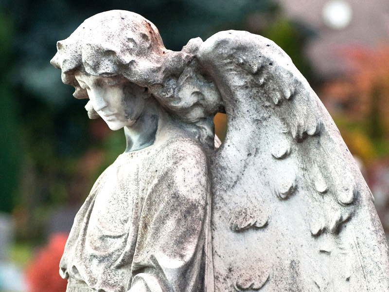 Rat und Hilfe auf dem Weg durch die Trauer