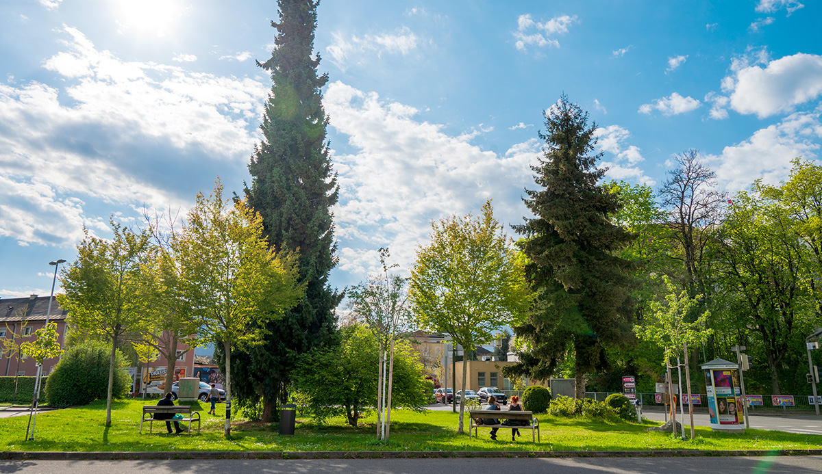 Grünes Eck "Mathilde-Pachernik-Park"