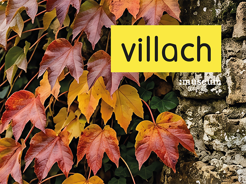 Herbstprogramm im Museum