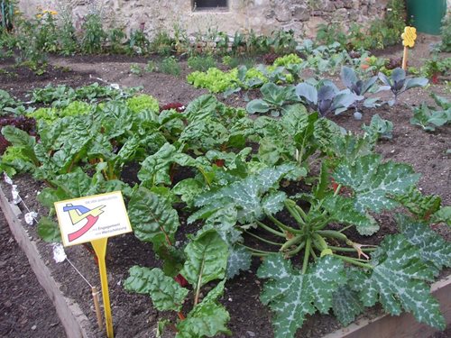 Gemeinschaftsgarten des Alpenverein Villach bei der Villacher Stadtmauer