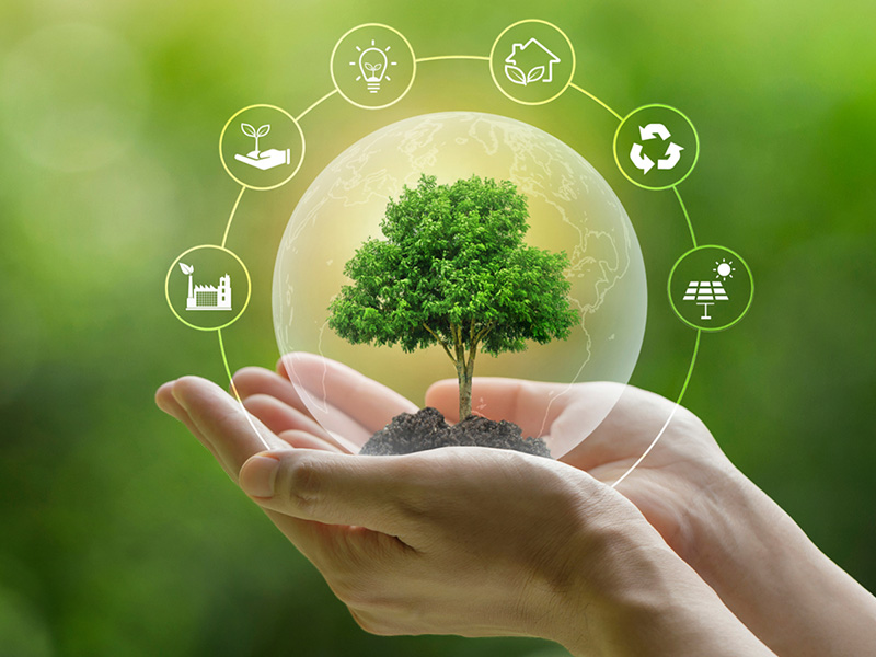Klimaschutzpreis 2027: Jetzt Projekt einreichen!