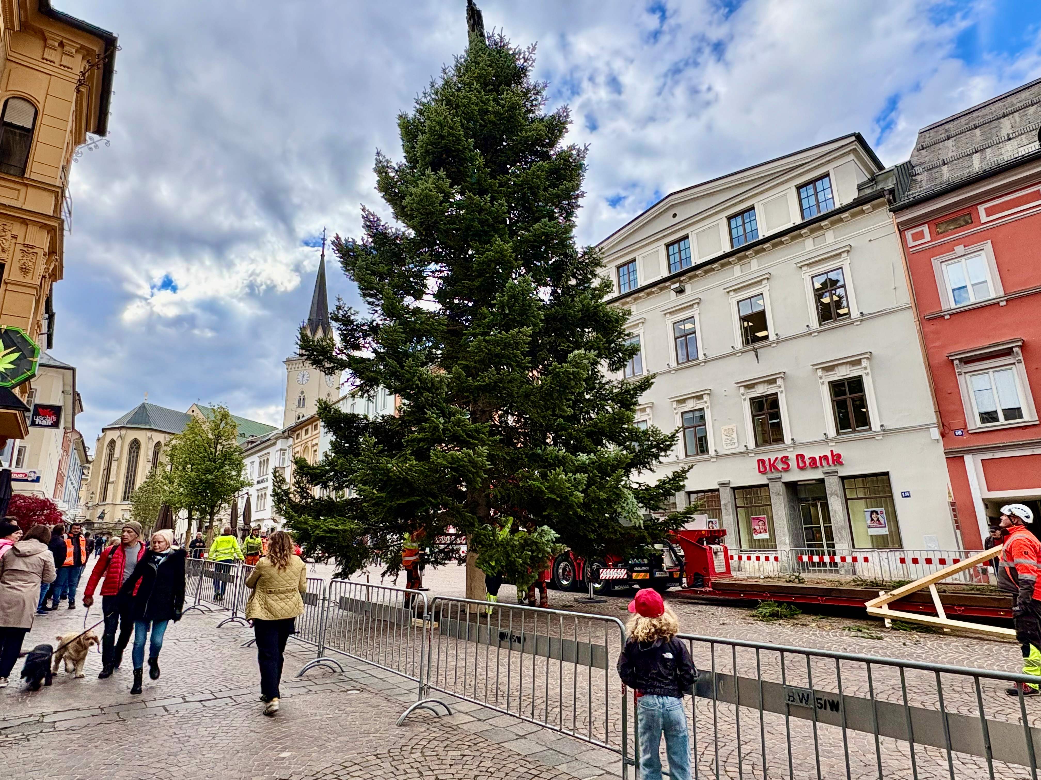Weihnachtsbaum 2025 hat  Schweizer Wurzeln 