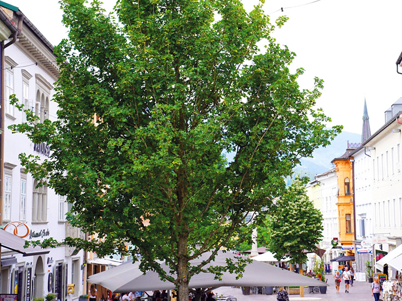 Grüne Achse quer durch Villach