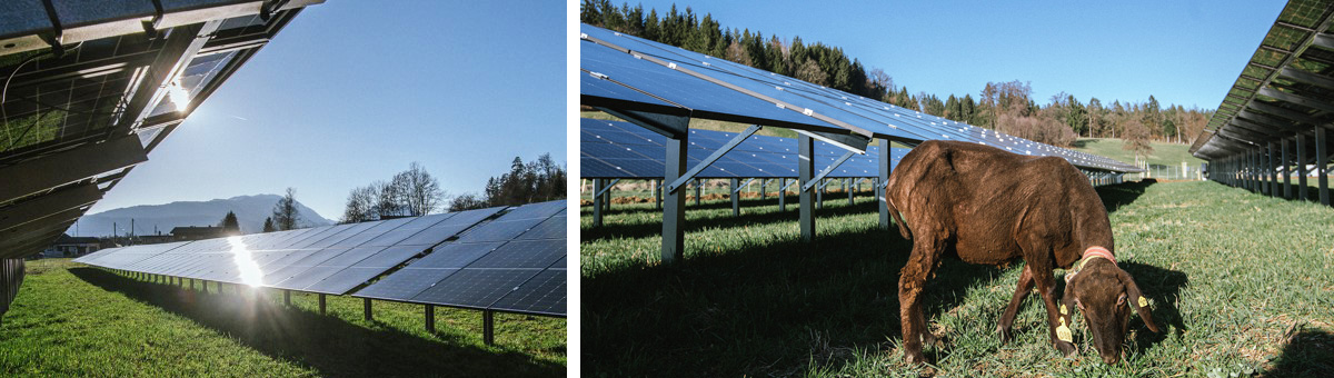 PV-Offensive - Sonnenpark Zauchen