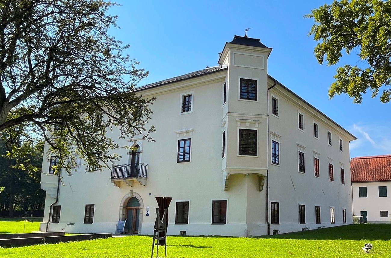 Dinzlschloss im Sommer