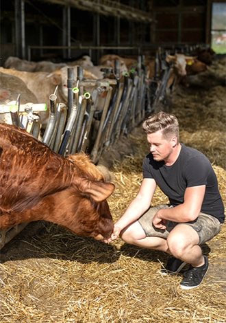 Bauer mit Kuh im Stall