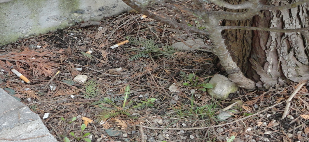 Projekt-3-Energie-und-Umweltpreis_Kurt-Linder