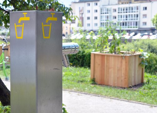 Gemeinschaftsgarten im Wirth-Park - Jede/r kann mitmachen und ernten!