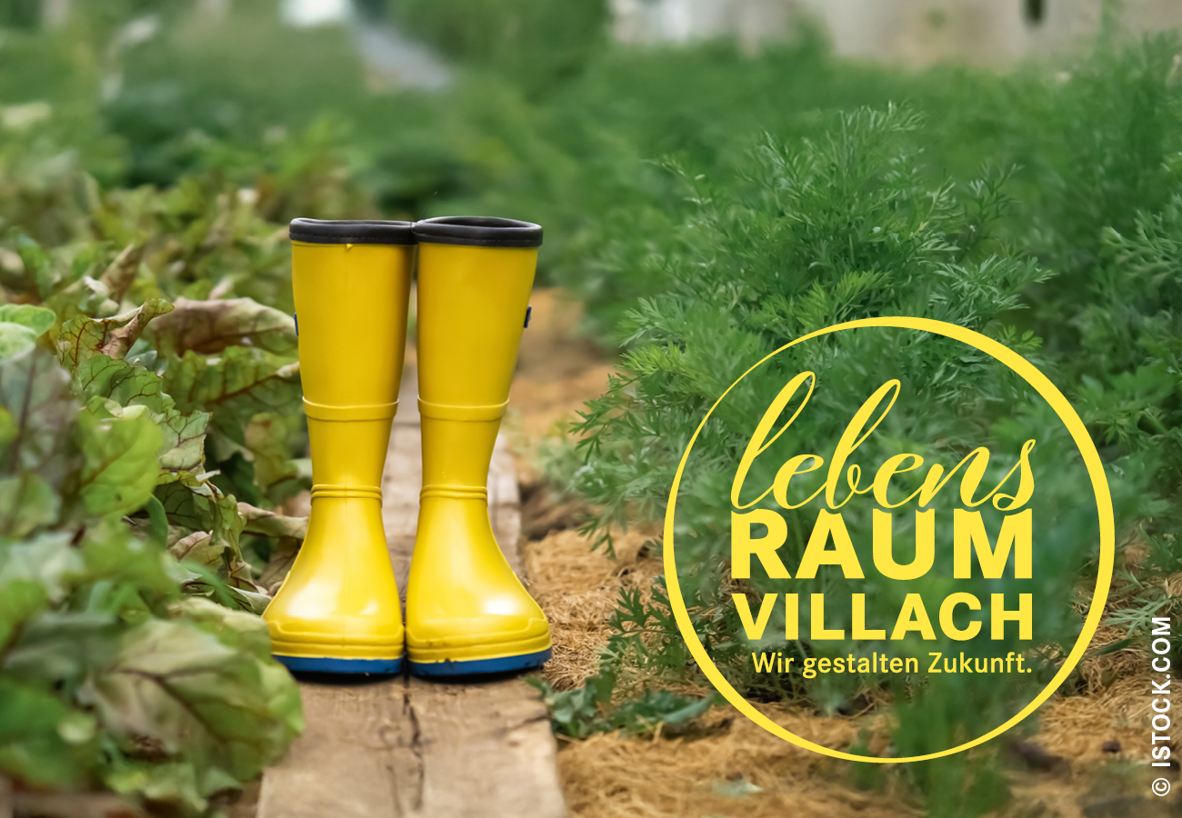 MI, 11. März, 18 Uhr |  Natur im Garten: Lebendinger Garten