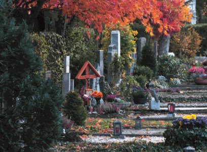 Gräber am Zentralfriedhof