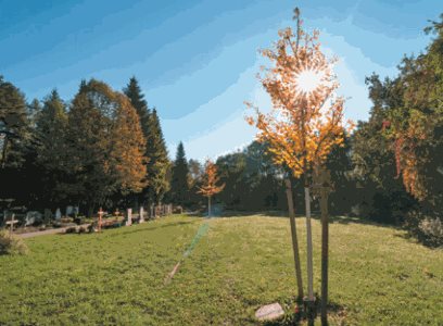 Waldfriedhof in herbstlicher Stimmung
