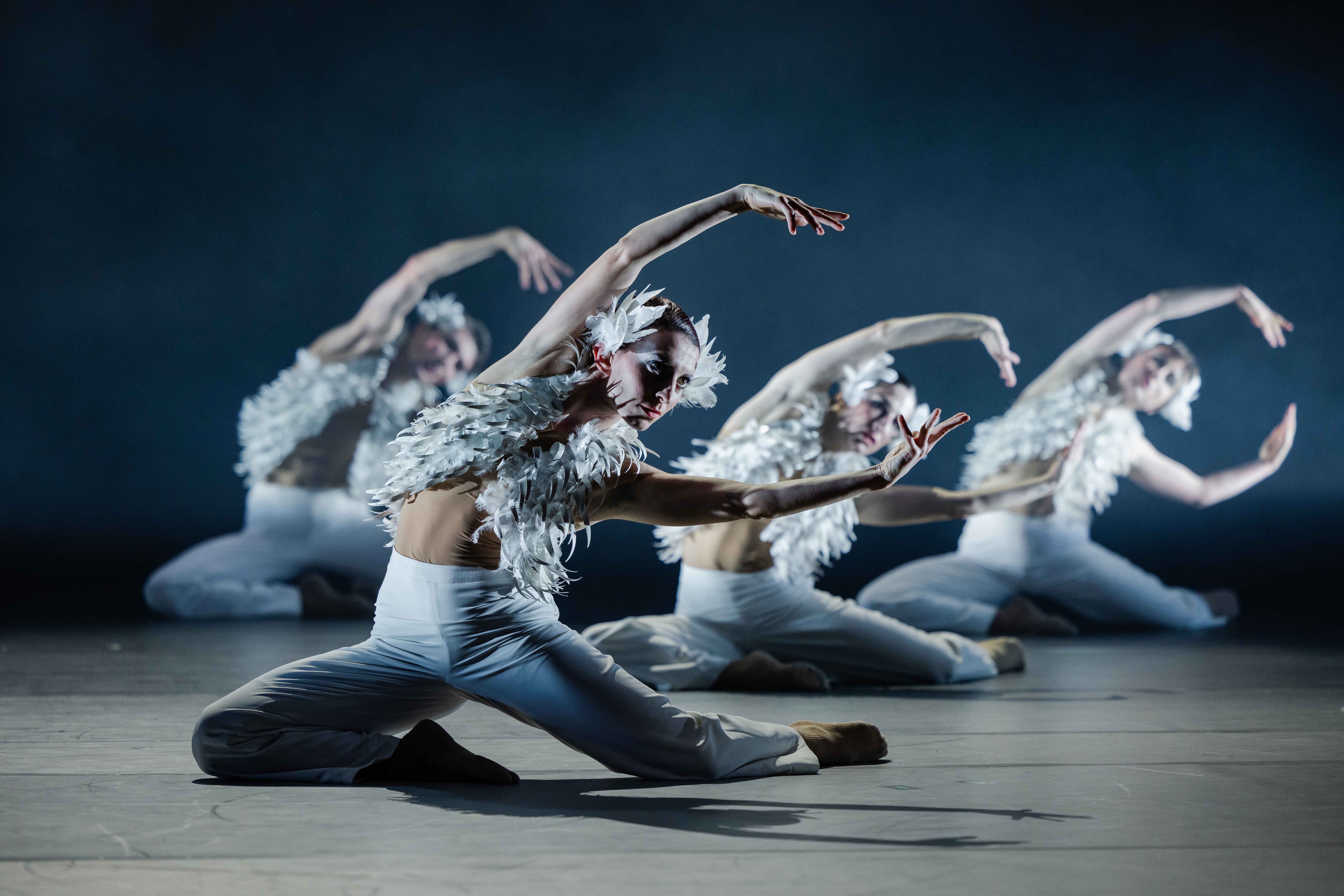 Erfolgsprogramm: Zehntausende genießen Kultur