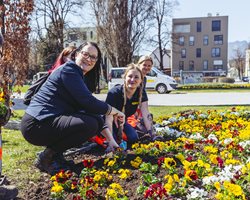 Vizebürgermeisterin Sarah Katholnig ist nicht nur die begrünte Innenstadt wichtig, sondern jeder einzelne Beitrag zu noch mehr Biodiversität. 