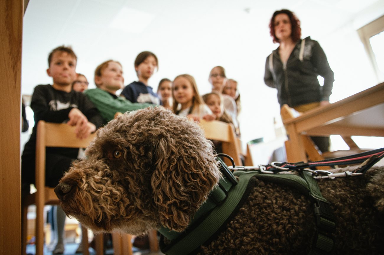 Nach den erfolgreichen Hundeworkshops in den Horten der Stadt gibt es einen weiteren Hunde-Verstehen-Termin für alle Interessierten.  