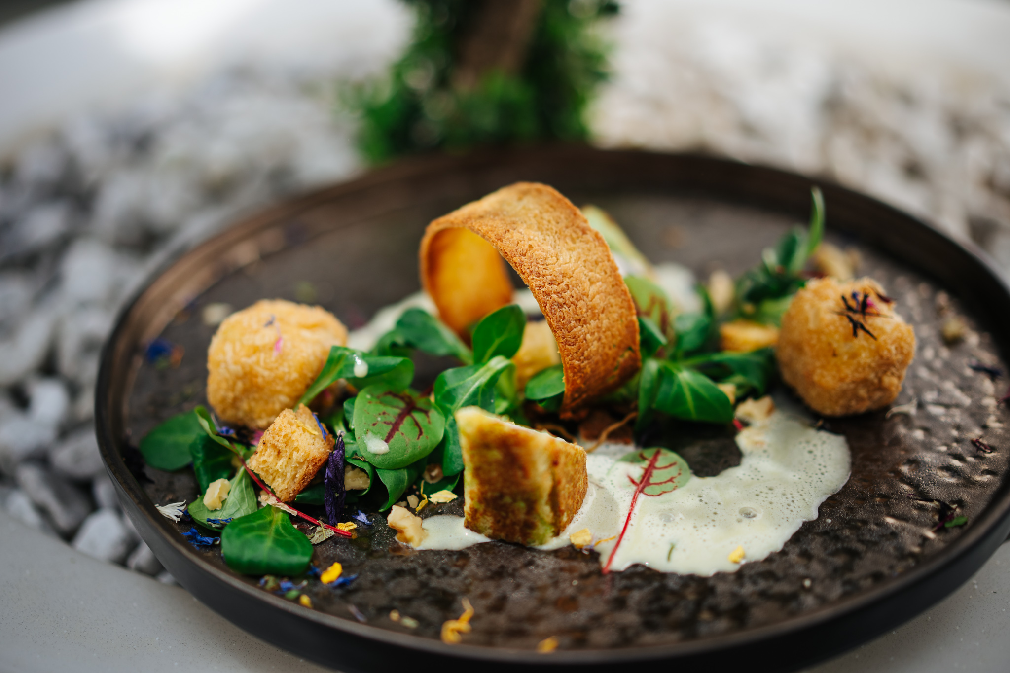 Kulinarik & Catering